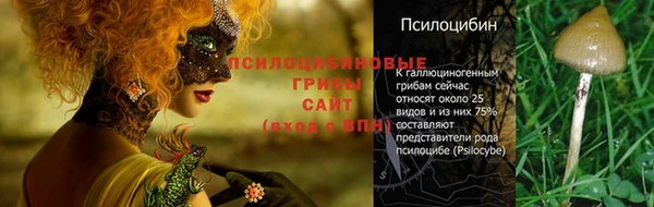 прущая мука Вязьма