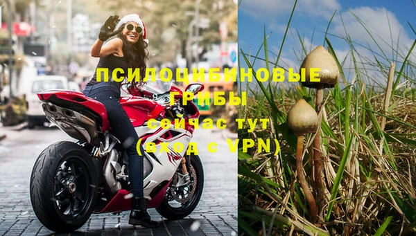 прущая мука Вязьма