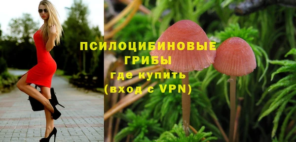 прущая мука Вязьма