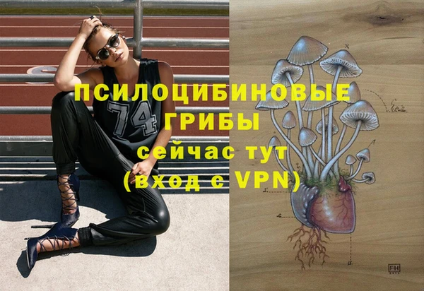 таблы Вязники