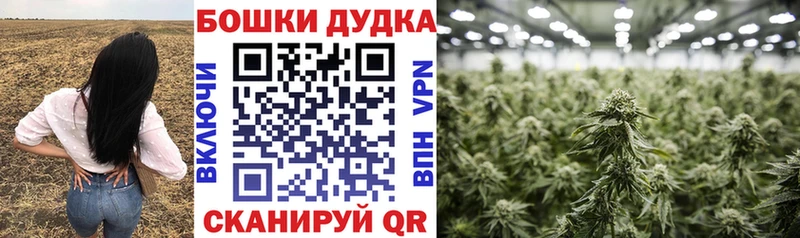 Марихуана THC 21%  Иваново 